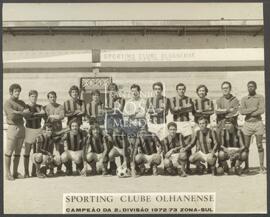 Equipa futebol Sporting Clube Olhanense, Campeão da 2ª divisão 1972/1973, zona sul
