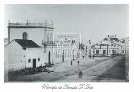 Principio da Avenida D.Luís