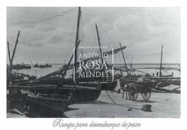 Rampa para desembarque de peixe