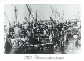 Carroças à espera do peixe