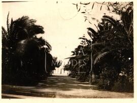 Jardim João Serra