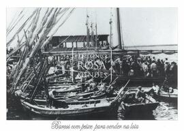 Barcos com peixe