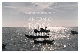 Barcos na Ria