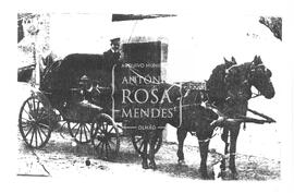 Caleche para transporte publico